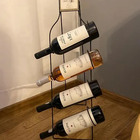 Dominic Unirii Square Apartment Timisoara