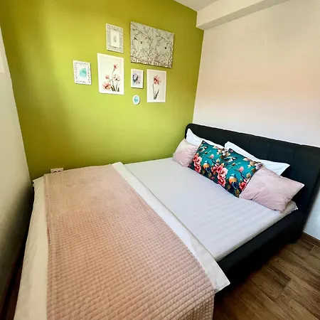 Apartment Dominic Unirii Square *