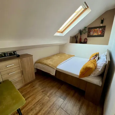 Apartment Dominic Unirii Square