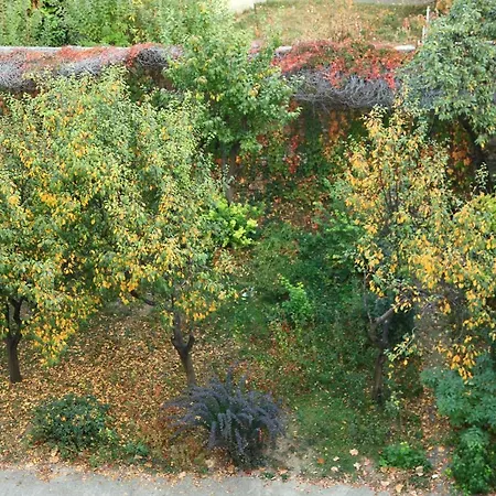 Apartment Dominic Unirii Square