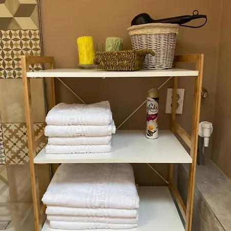 Apartment Dominic Unirii Square Timisoara