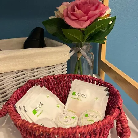 Dominic Unirii Square Lägenhet *