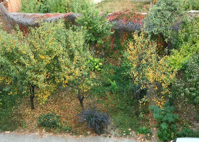 Lägenhet Dominic Unirii Square