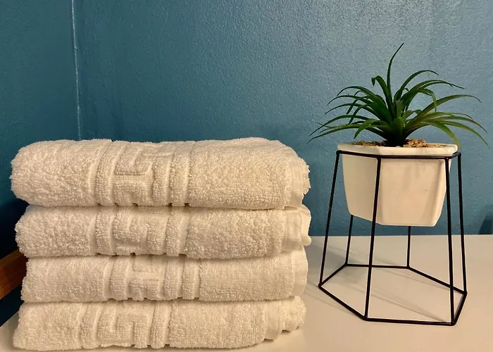 Dominic Unirii Square Temešvár