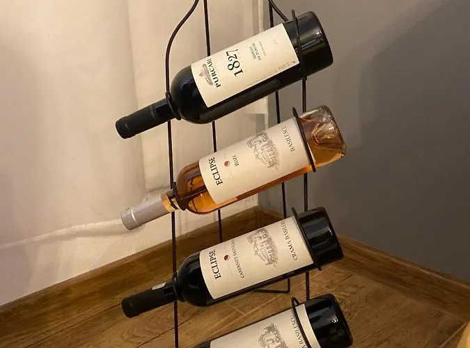 Dominic Unirii Square Appartamento Timisoara